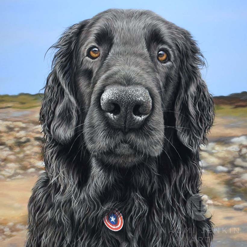Flat-coated retriever portrait by dog portrait artist Naomi Jenkin. 