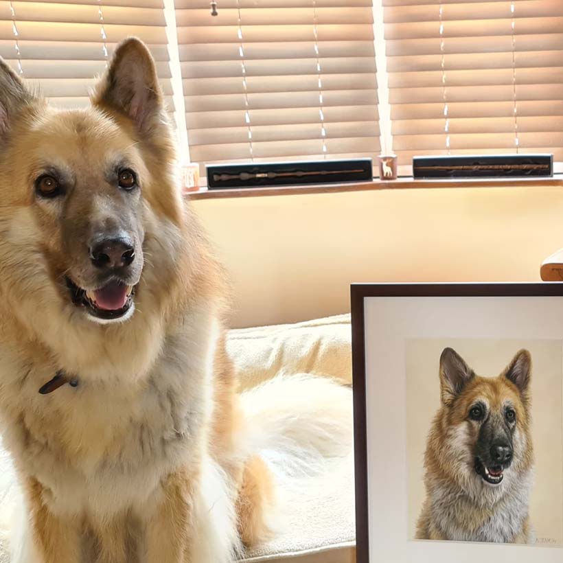 Pet portrait by Naomi Jenkin Art. 