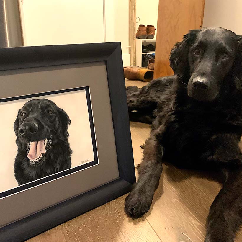 Pet portrait by Naomi Jenkin Art. 