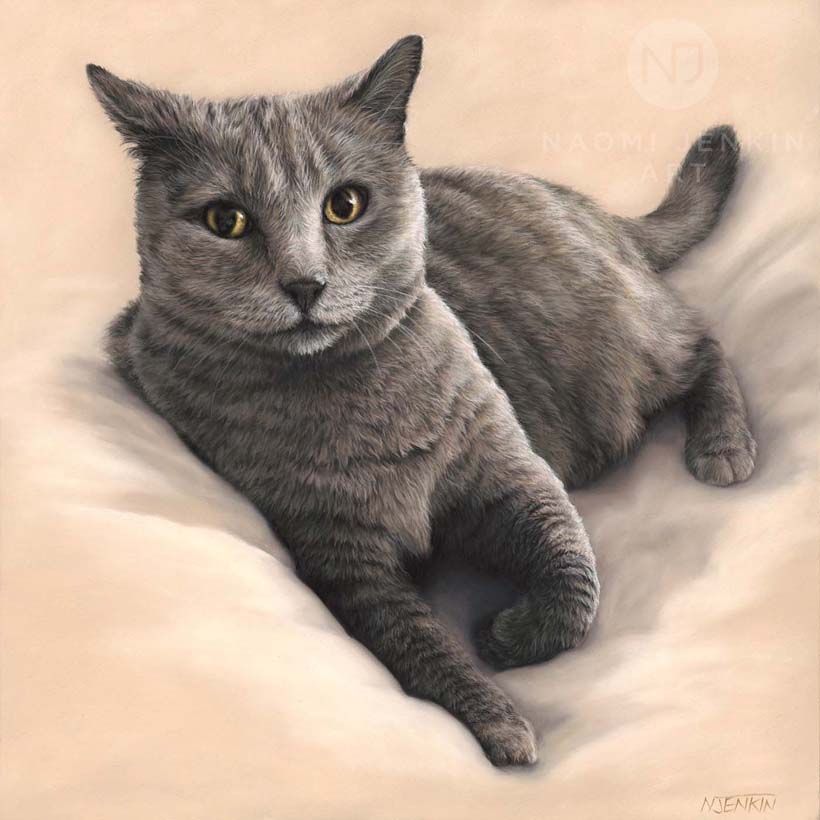 Cat portrait by pet portrait artist Naomi Jenkin Art.