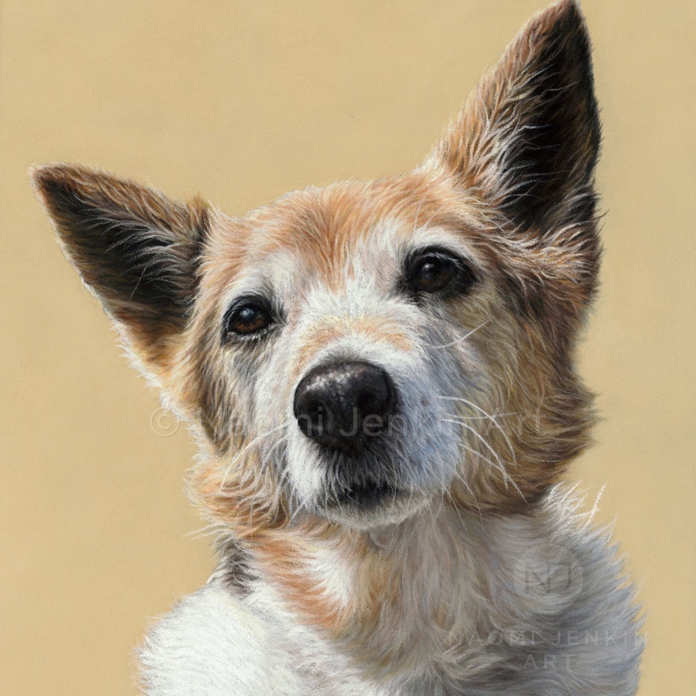 Jack russell terrier dog portrait by pet portrait artist Naomi Jenkin. 