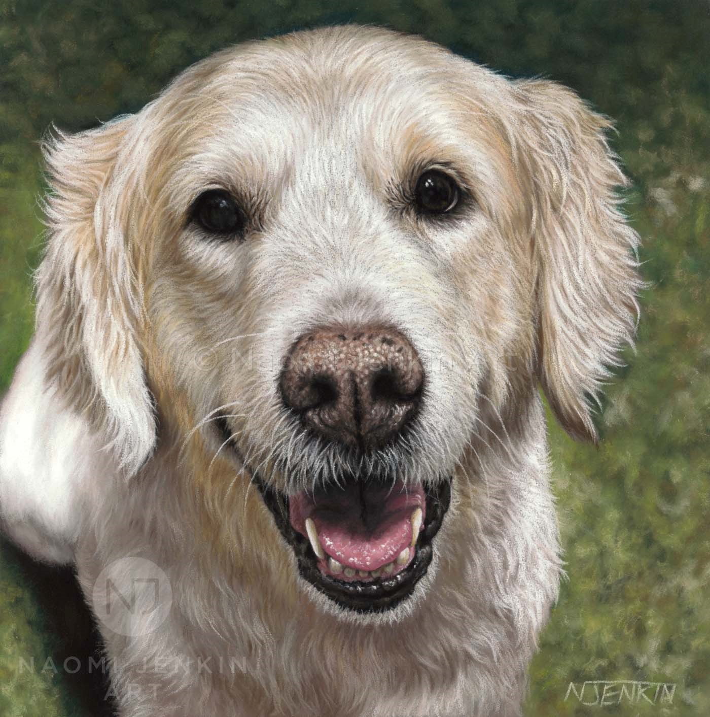 Golden retriever portrait by dog portrait artist Naomi Jenkin. 
