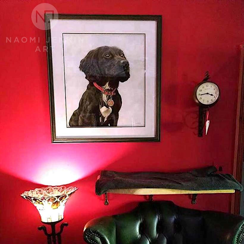 Portrait of Cocker Spaniel by Naomi Jenkin Art. 