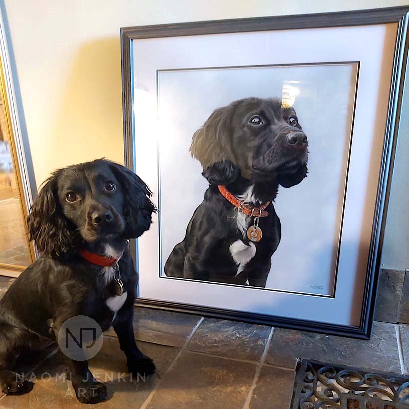 Pet portrait by Naomi Jenkin Art. 