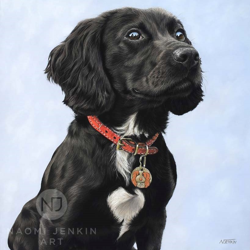Portrait of Cocker Spaniel puppy by Naomi Jenkin Art. 