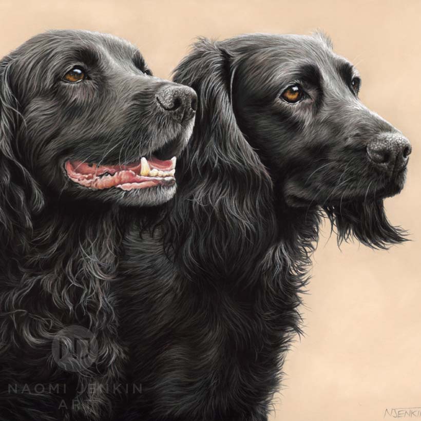 Golden labrador portrait by dog portrait artist Naomi Jenkin. 