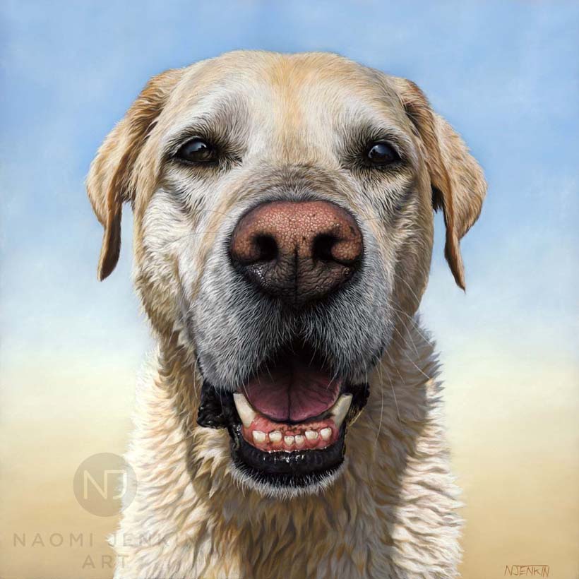 Yellow Labrador dog portrait by pet portrait artist Naomi Jenkin. 