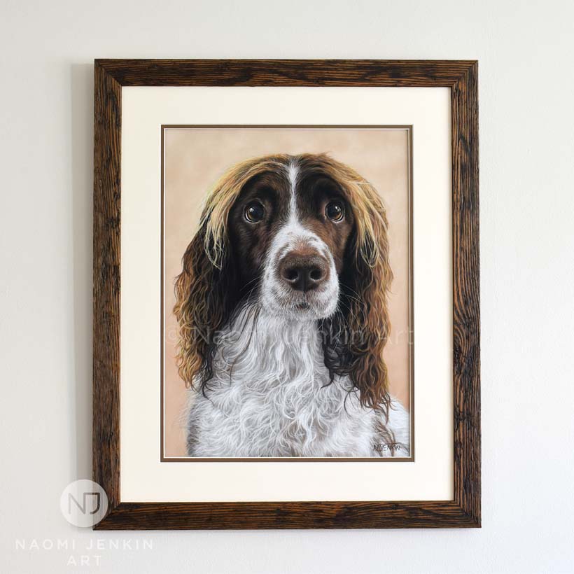 Dog portrait of a Springer Spaniel 'Millie' drawn by artist Naomi Jenkin