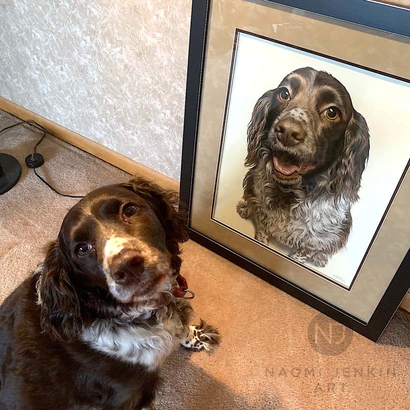 Pet portrait by Naomi Jenkin Art. 