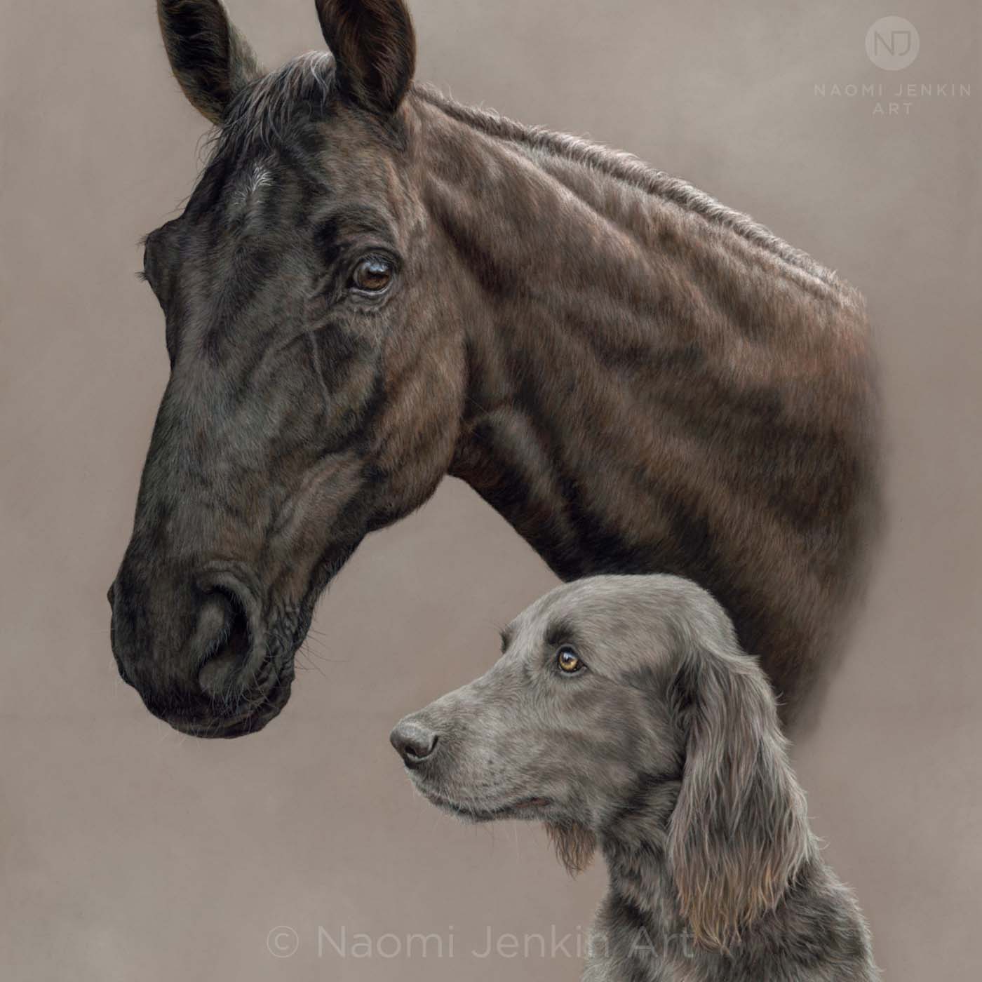 Horse portrait by pet portrait artist Naomi Jenkin. 