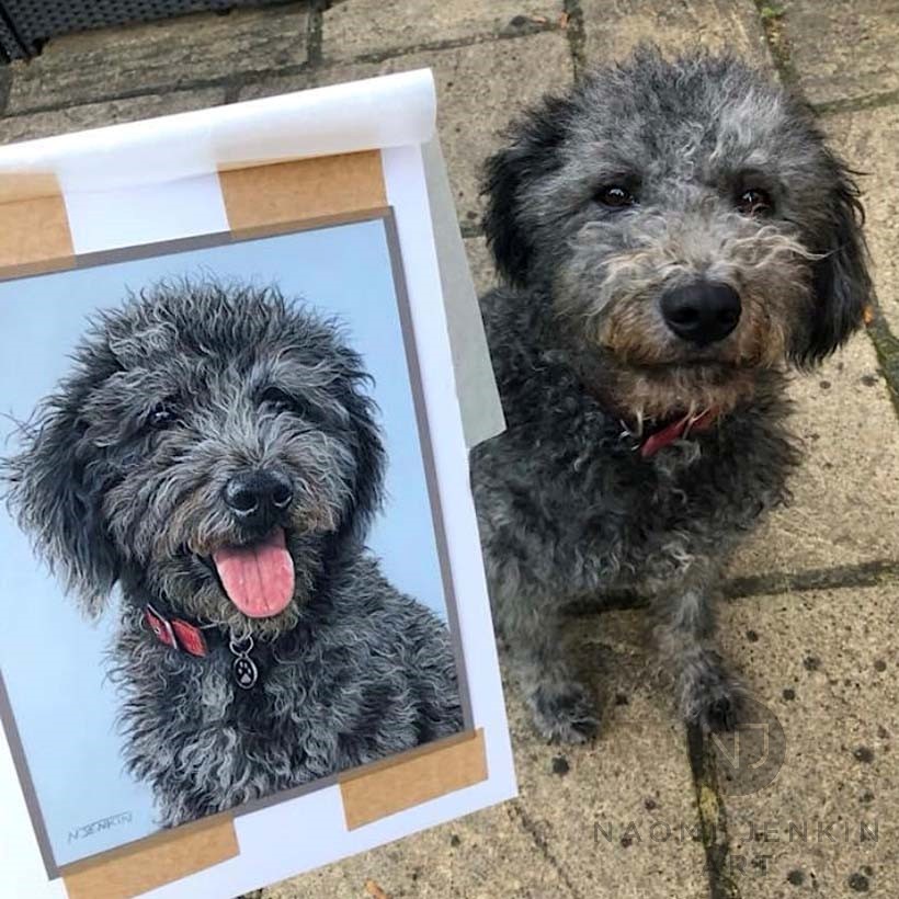 Dog portrait by pet portrait artist Naomi Jenkin. 