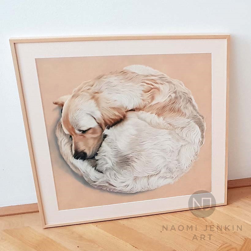 Pet portrait by Naomi Jenkin Art. 