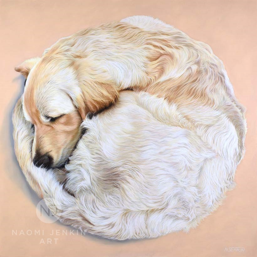 Golden Retriever portrait by UK pet portrait artist Naomi Jenkin. 