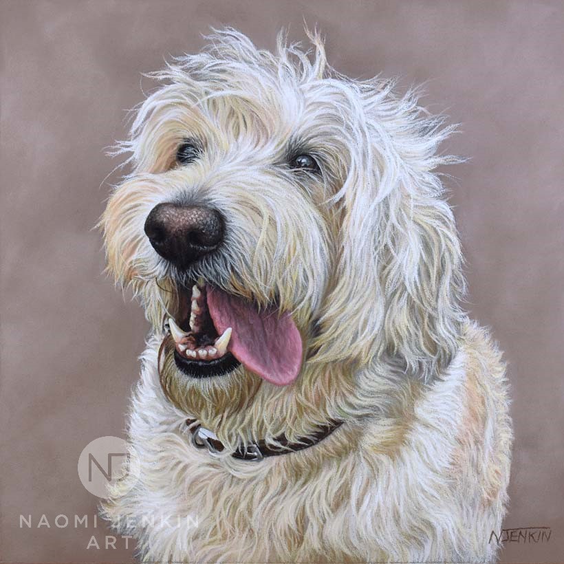 Labradoodle pet portrait by Naomi Jenkin Art. 