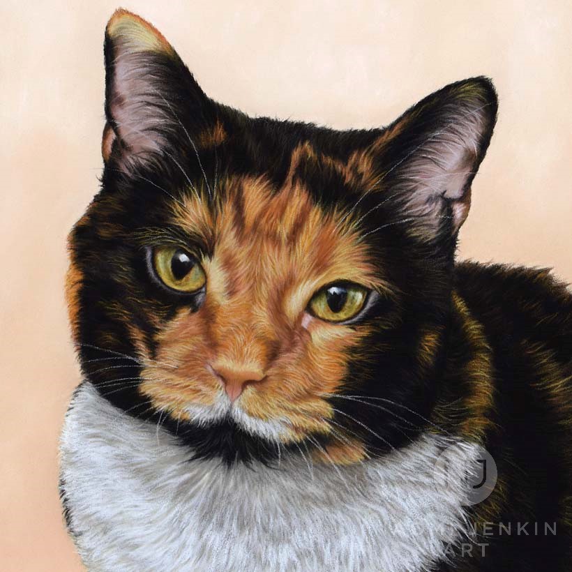 Cat portrait by pet portrait artist Naomi Jenkin.