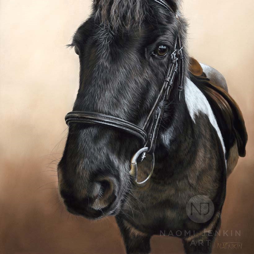 Horse portrait by pet portrait artist Naomi Jenkin. 