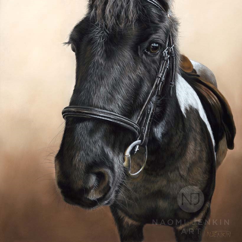 Horse portrait by Naomi Jenkin Art. 