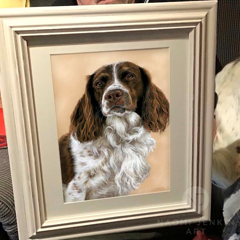 Pet portrait by Naomi Jenkin Art. 