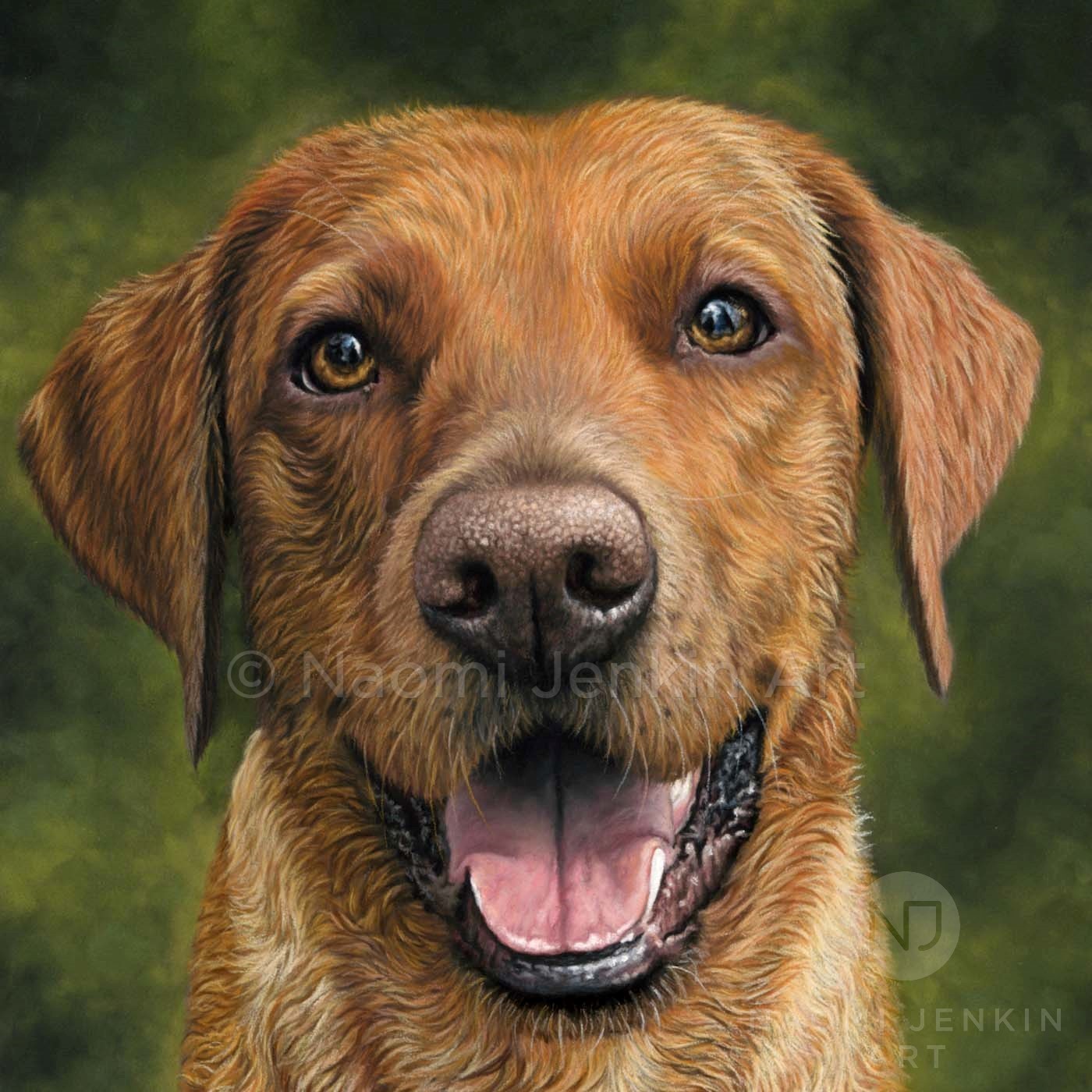 Fox red labrador portrait by dog portrait artist Naomi Jenkin. 