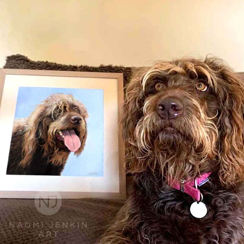 Pet portrait by Naomi Jenkin Art. 