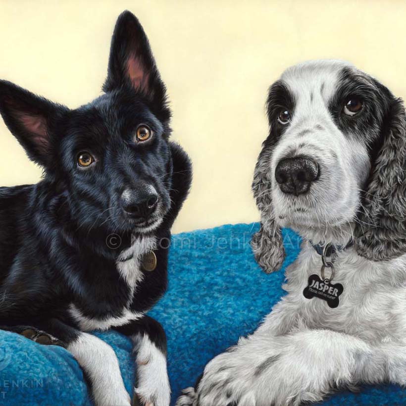 Dog portrait of a Border Collie and a Cocker Spaniel by Naomi Jenkin Art. 