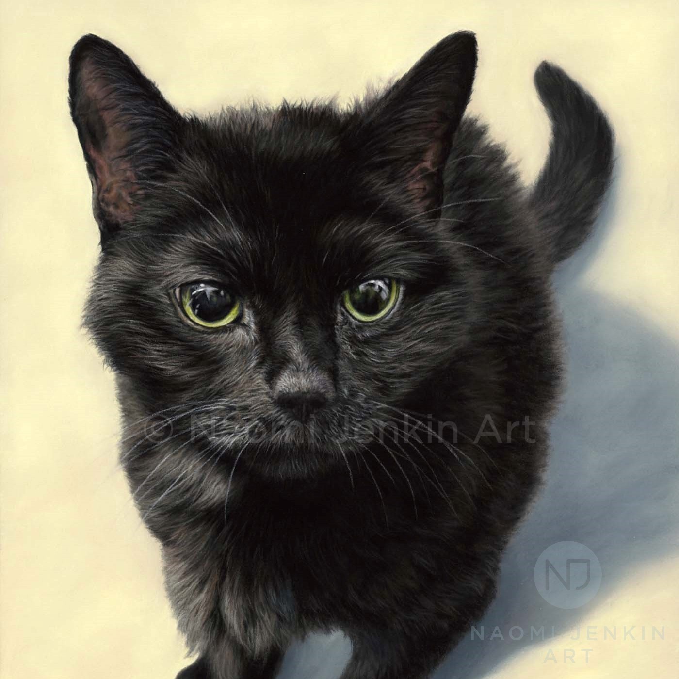 Cat portrait by pet portrait artist Naomi Jenkin Art.