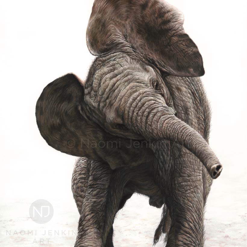 Elephant painting by wildlife artist Naomi Jenkin Art. 