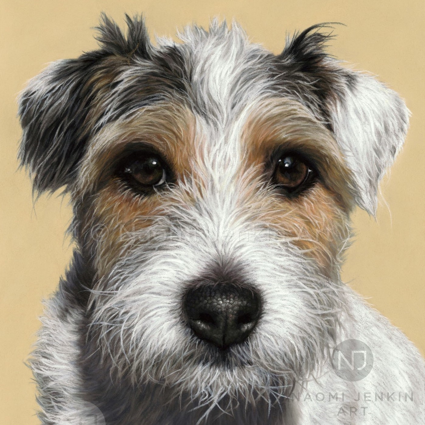 Jack russell terrier dog portrait by pet portrait artist Naomi Jenkin. 