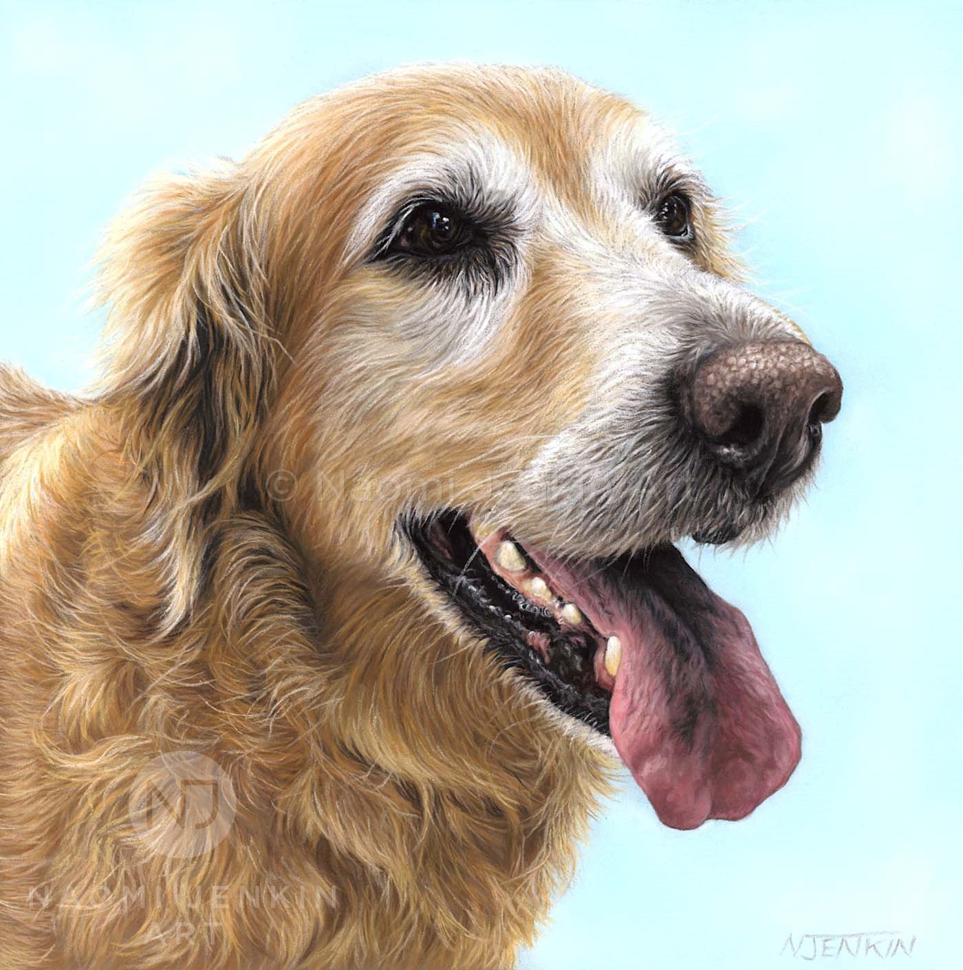 Golden retriever portrait by dog portrait artist Naomi Jenkin. 