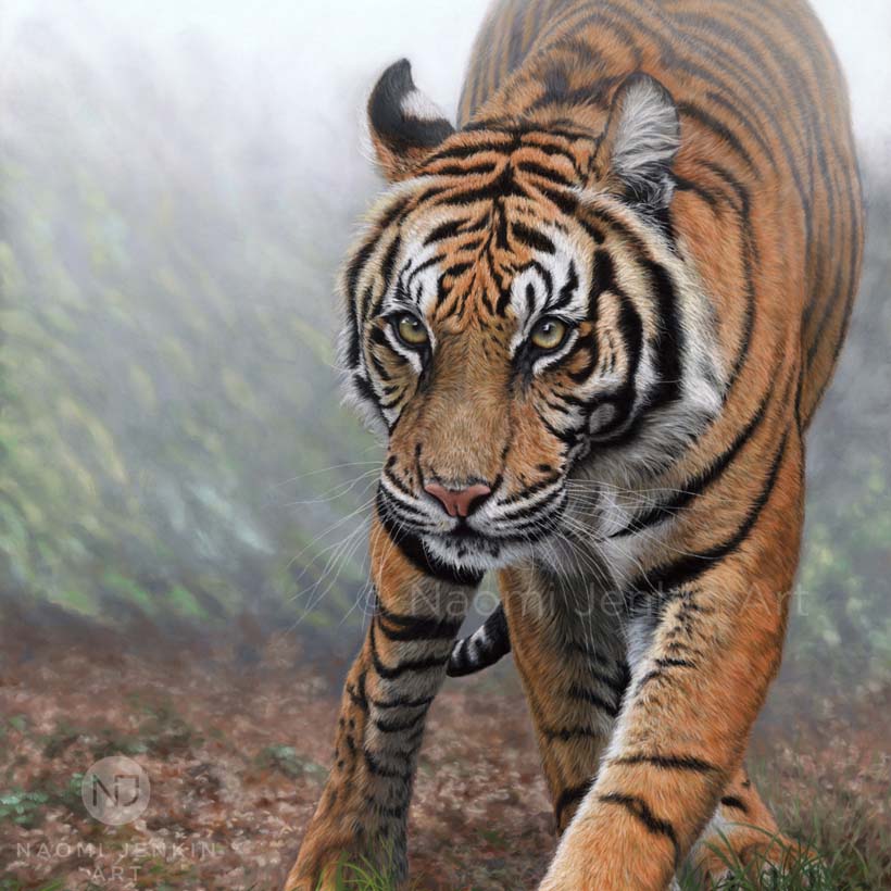 Original tiger painting by wildlife artist Naomi Jenkin Art.