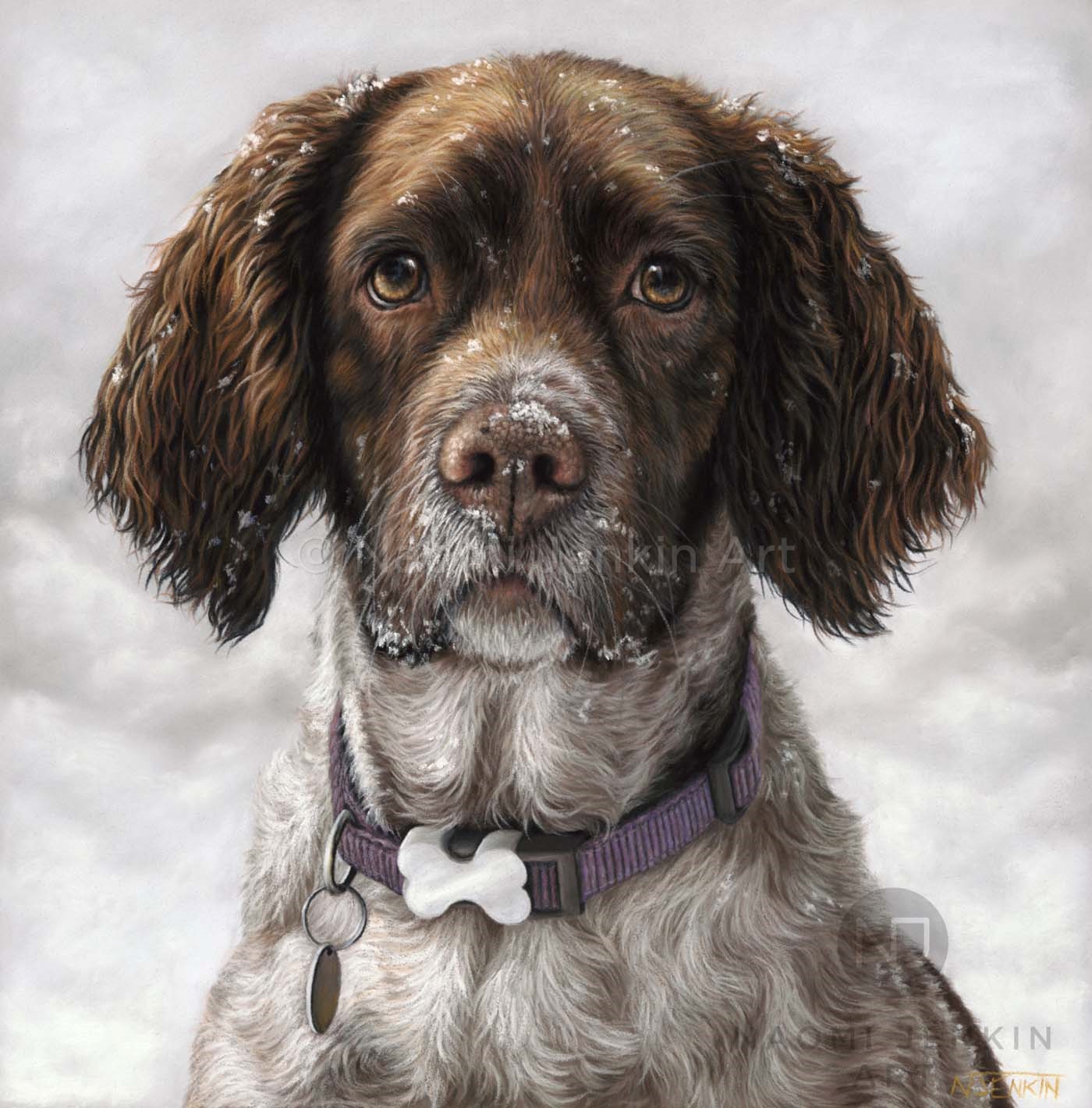 English springer spaniel portrait by dog portrait artist Naomi Jenkin. 