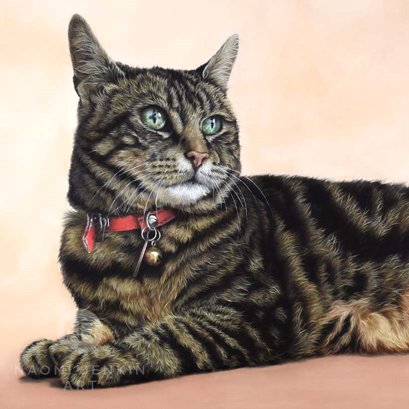 Tabby cat portrait by pet portrait artist Naomi Jenkin Art.