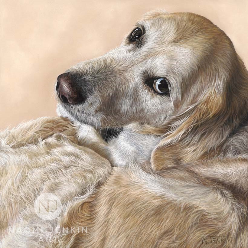 Golden Retriever portrait by pet portrait artist Naomi Jenkin. 