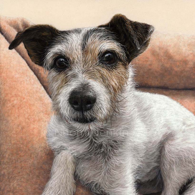 Dog portrait of a Russell terrier on a blanket by Naomi Jenkin Art. 