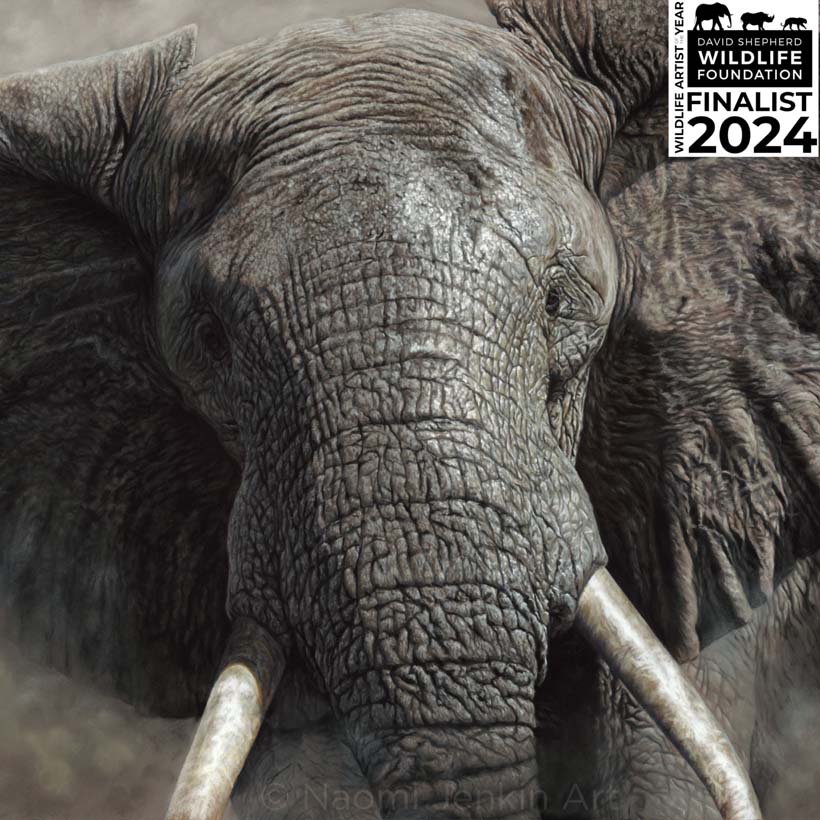 Original elephant painting 'The Elephant Charge' by wildlife artist of the year 2024 finalist Naomi Jenkin.