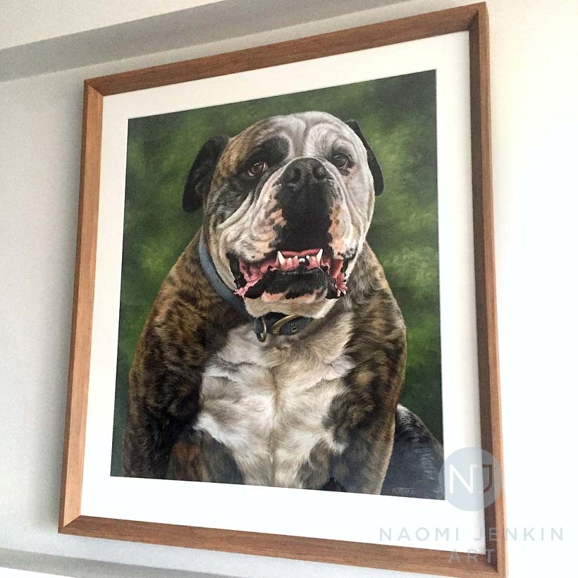 Framed dog portrait by pet portrait artist Naomi Jenkin Art. 