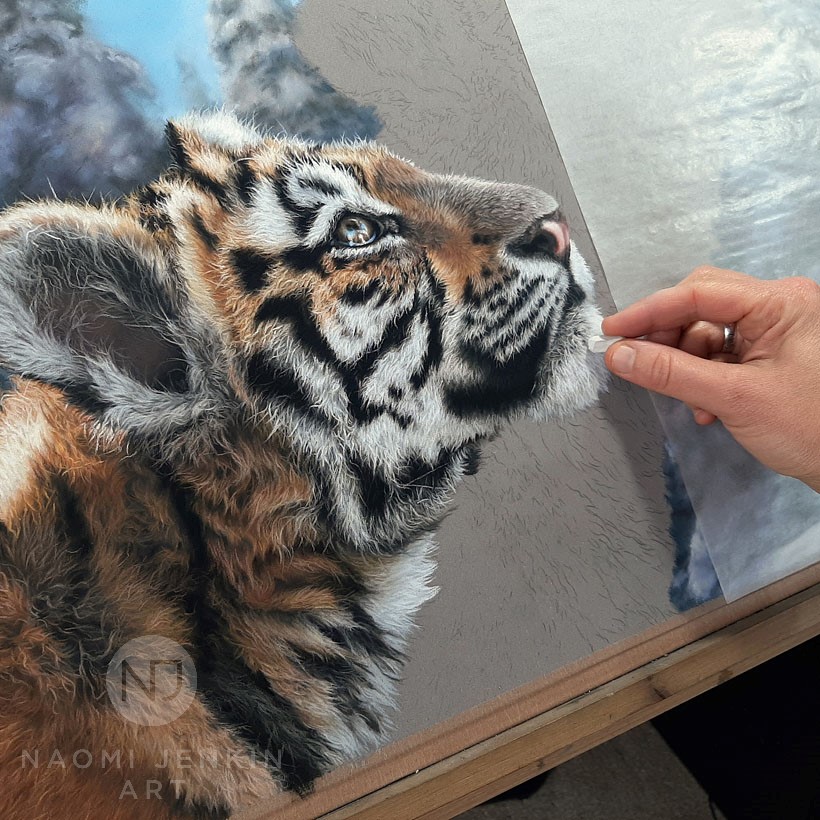 Tiger painting by wildlife artist Naomi Jenkin.