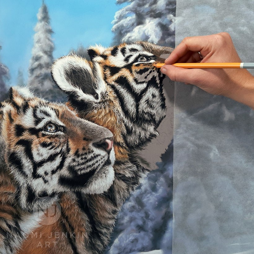 Tiger art by wildlife artist Naomi Jenkin.