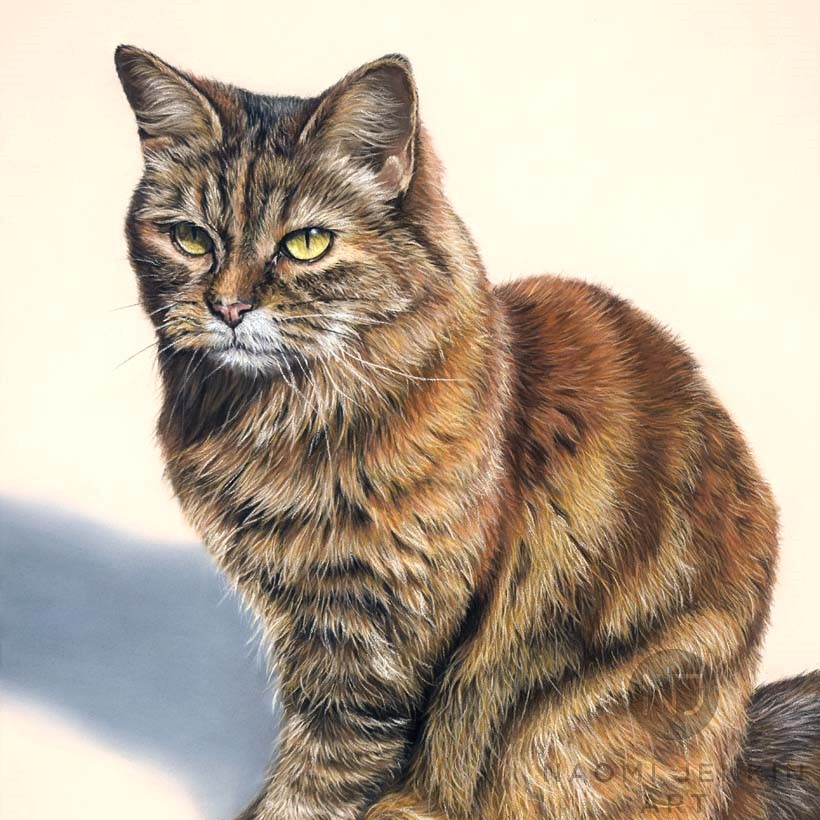 Tabby cat portrait by pet portrait artist Naomi Jenkin. 