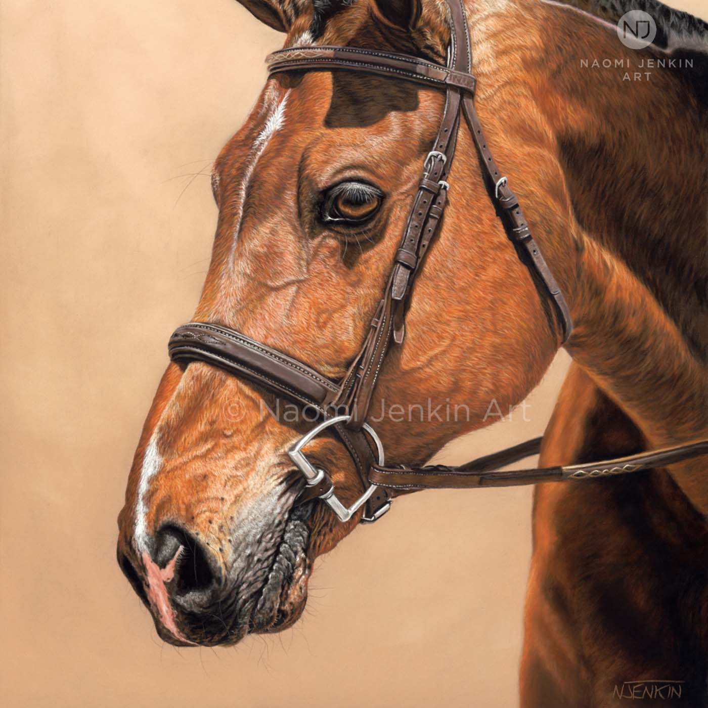 Horse portrait by pet portrait artist Naomi Jenkin. 