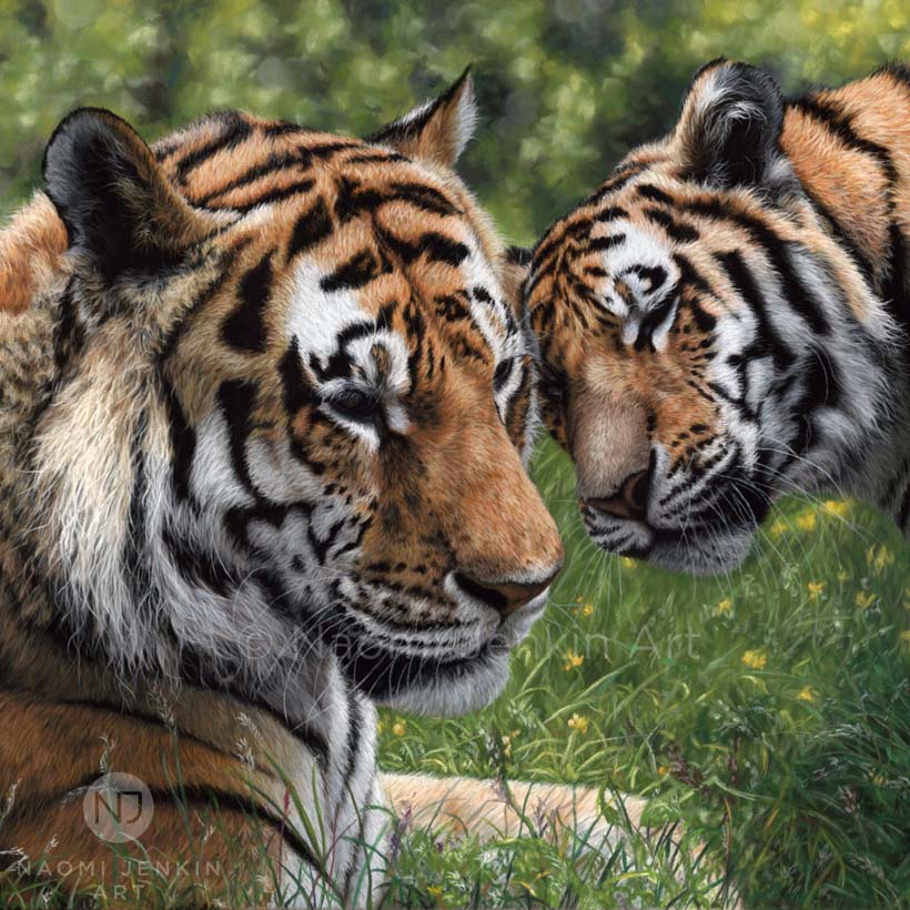 Original tiger painting by wildlife artist Naomi Jenkin Art.