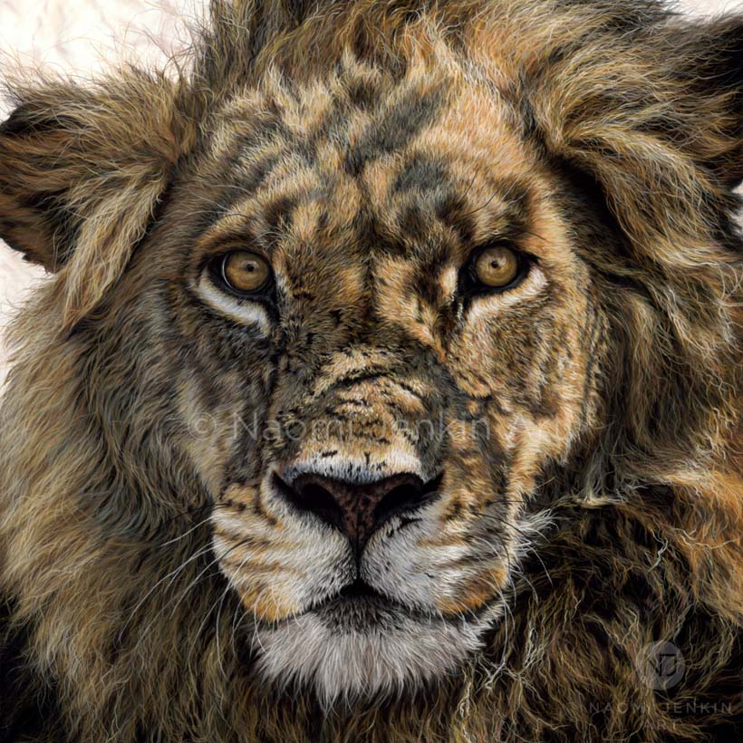 Original lion painting 