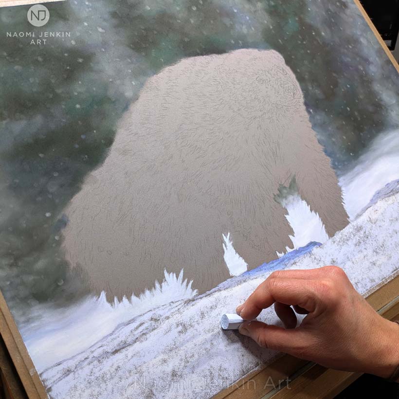 Wildlife artist Naomi Jenkin creating a wolverine drawing
