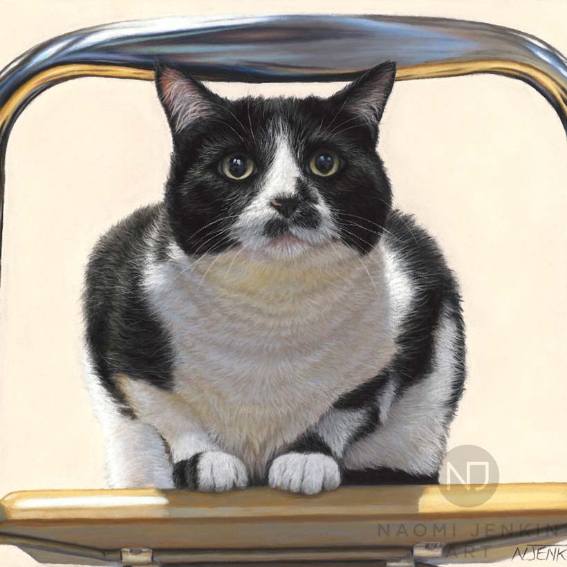 Cat portrait by pet portrait artist Naomi Jenkin Art.