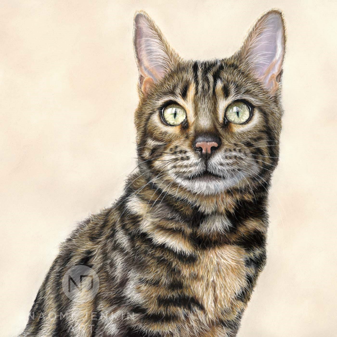 Portrait of Beau the Bengal cat.