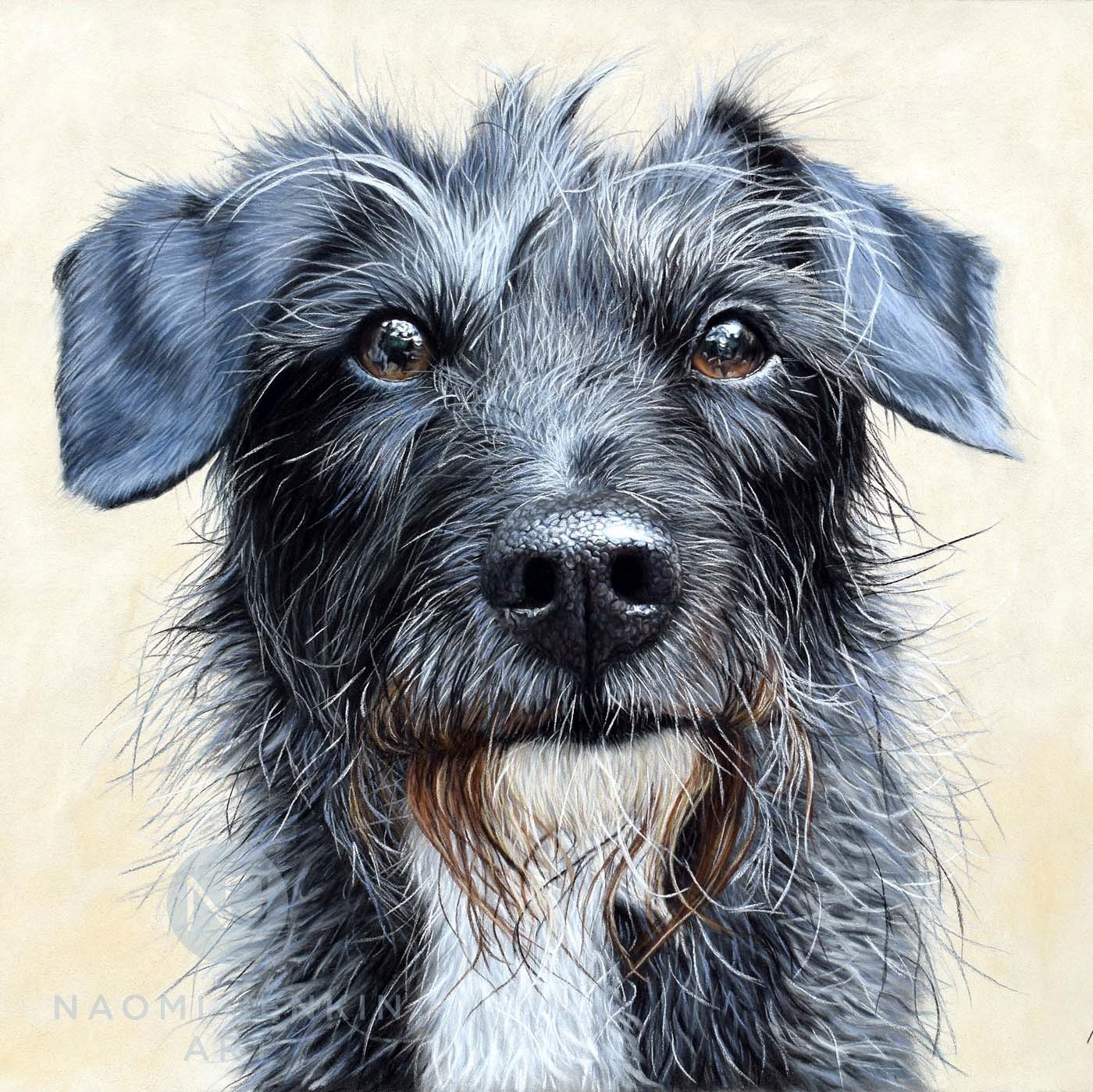 Dog portrait by pet portrait artist Naomi Jenkin.