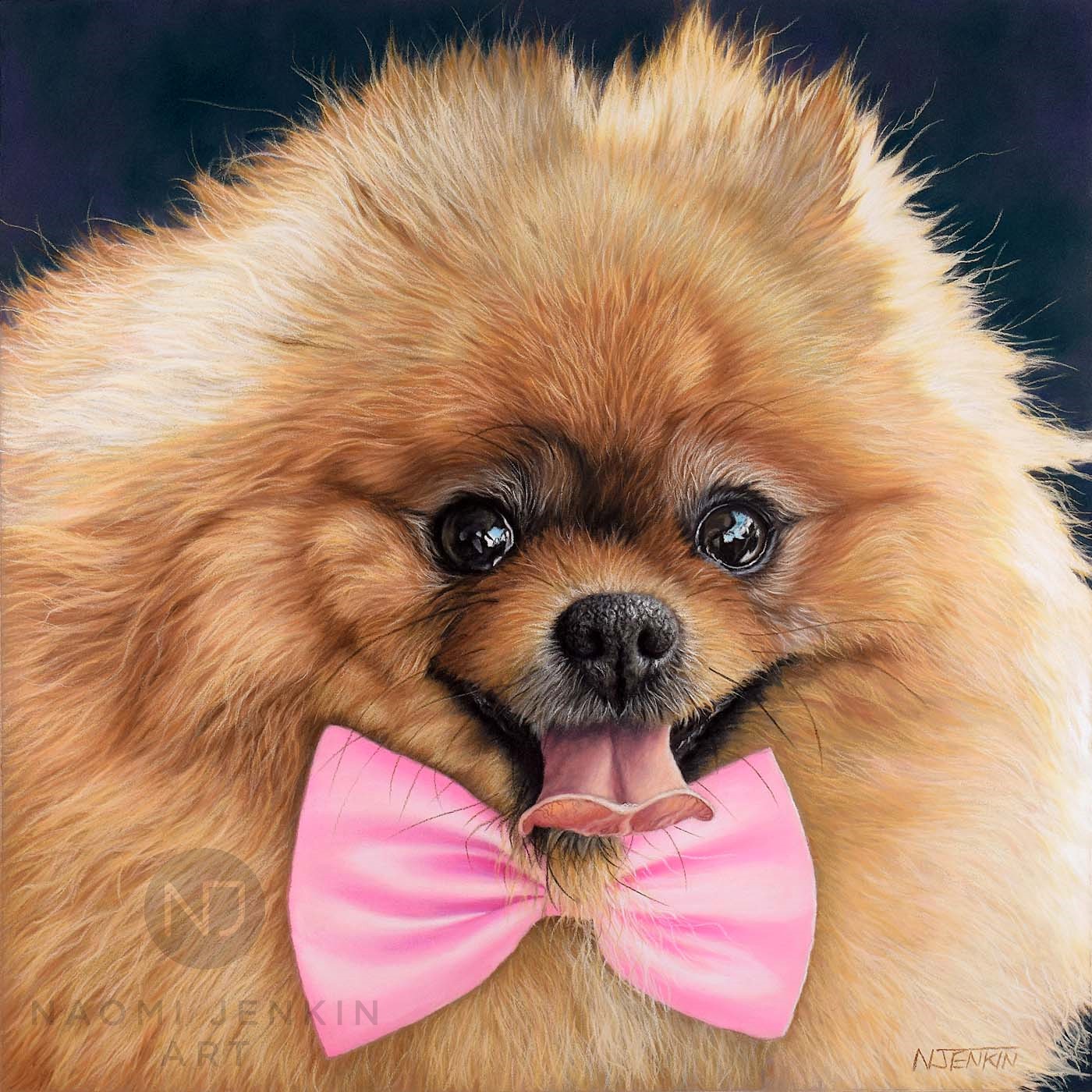 Pet portrait of Pomeranian dog by Naomi Jenkin Art. 
