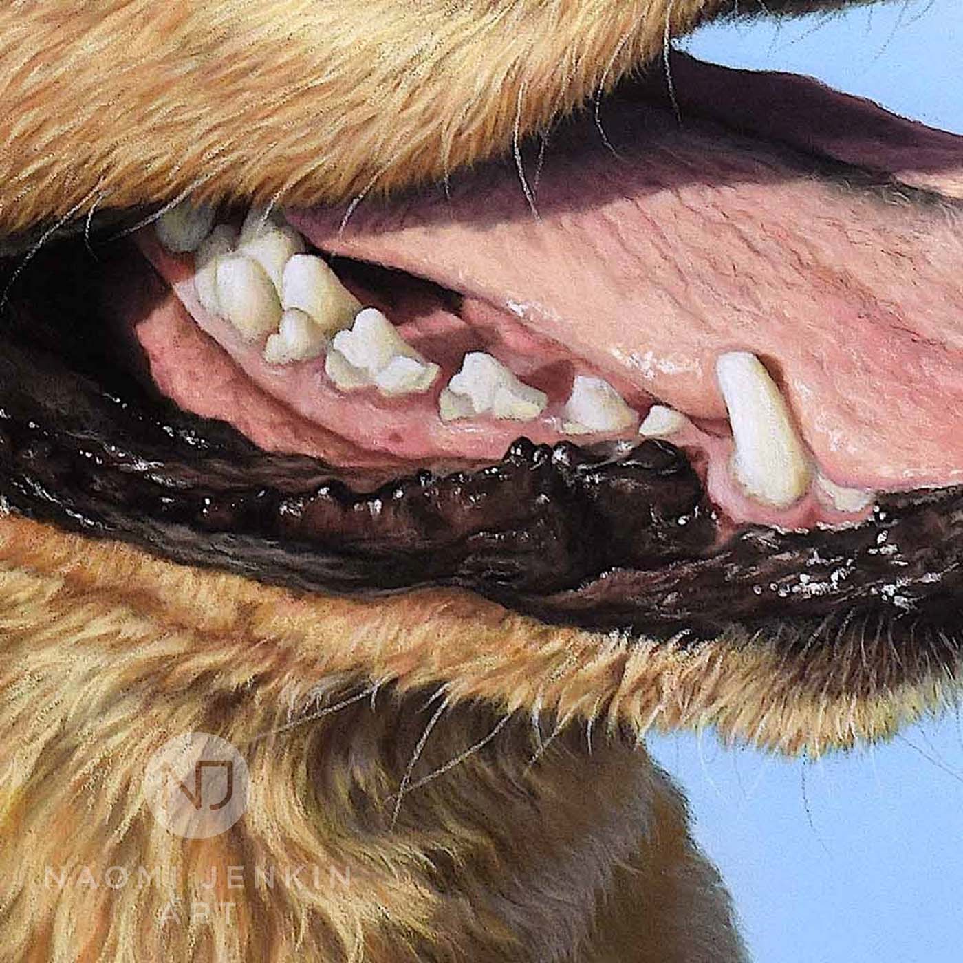 Close up of yellow Labrador portrait by Naomi Jenkin Art.