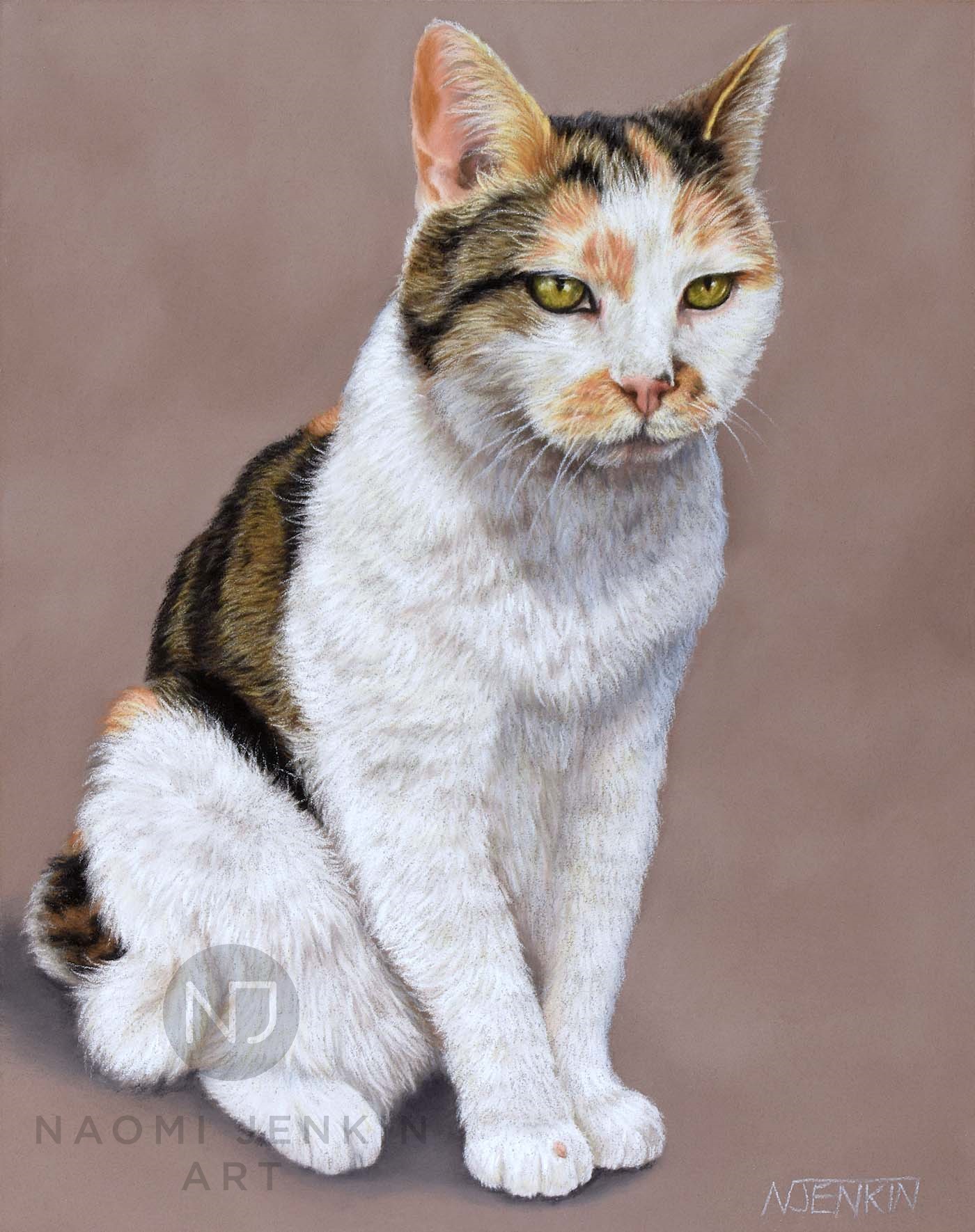 Portrait of Boots the cat.