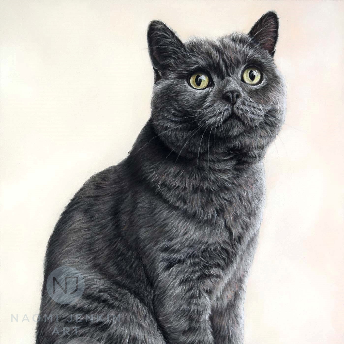 Pet portrait of cat by Naomi Jenkin.